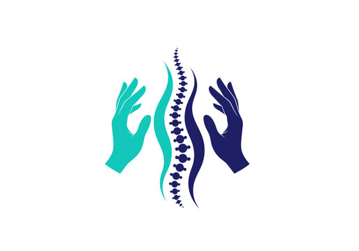 Chiropractic spine illustration with hands on white background