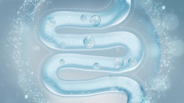 3D Animation: Intestinal Probiotics Aid Digestion, Promote Peristalsis & Support Gastrointestinal Health