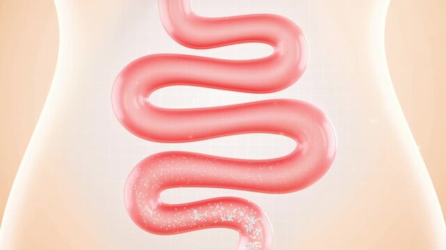 3D Animation Intestinal Probiotics Clean Gut Waste Restore Intestinal Health, Drug Molecules Improve Digestion Relieve Flatulence