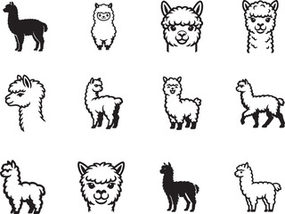 Fototapeta premium Fluffy alpaca wool line art icon set with animal linear symbols isolated on white background.