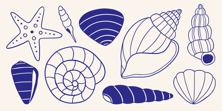 Vector hand drawn mediterranean seashell and starfish clipart set in blue, navy outline sketch. Monochrome doodle marine ocean shell collection for coastal decor, summer poster, beach design element.