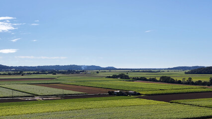 Fototapeta premium Aerial View of Lush Patchwork Farmland Under a Clear Blue Sky