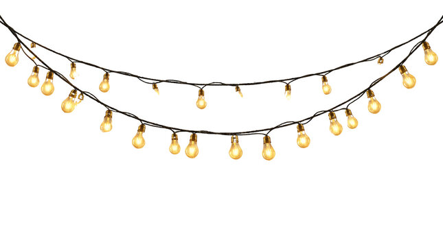 Two rows of warm yellow Edison bulb string lights illuminated on a white background