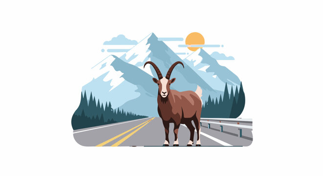 A lone ibex stands on a mountain road with snow-capped peaks