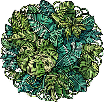 Tropical exotic leaves illustration