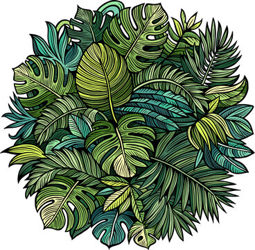 Tropical exotic leaves illustration