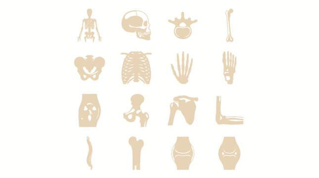 Abstract colorful modern digital art vector illustration background of human skeleton bone anatomy