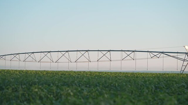 Irrigation system works on green field. Farm uses watering technology for crop growth. Agriculture depends on irrigation. Field covered crop. Watering system runs daily on farm using new technology