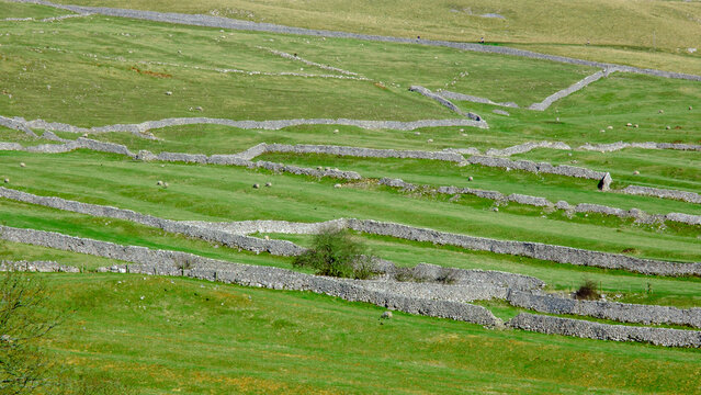 Walls in a Yorkshire landscape