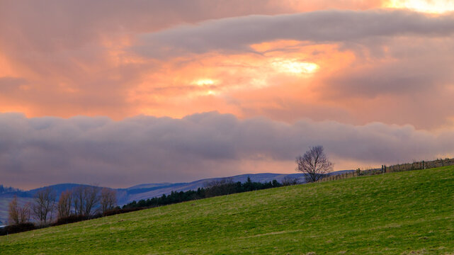 The light and the land