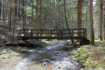 Bridge crossing a flowing creek in the sunlight of a peaceful wooded scene © John Outdoors