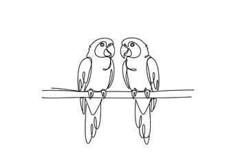 Continuous line drawing of two parrots sitting on a branch © Mamun