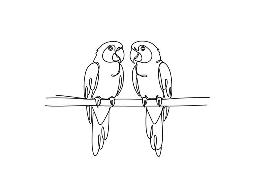 Continuous line drawing of two parrots sitting on a branch