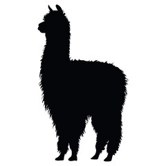 Fototapeta premium Black silhouette of llama isolated on white background, representing wildlife, nature and exotic animals. Ideal for zoo branding, travel visuals, educational materials