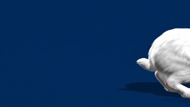 Realistic white rabbit animated in a seamless loop, hopping across a vibrant blue backdrop.