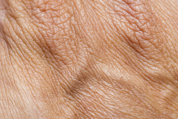 Fototapeta premium Extreme Macro Shot of Human Skin Texture with Fine Lines and Pores,An extreme close-up macro photograph showing the detailed texture of human skin, highlighting the intricate natural patterns, fine.