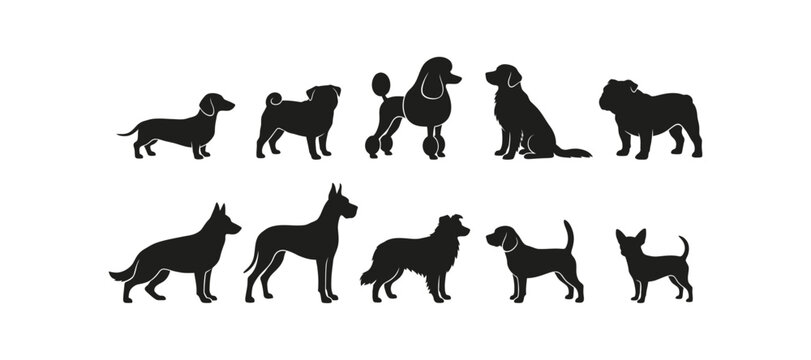 Variety of dog breeds silhouettes collection vector illustration for pet related designs