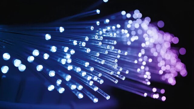 Close-up of glowing fiber optic strands in blue and purple hues