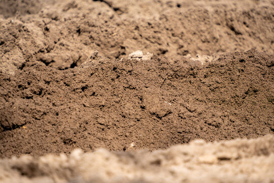 Plowed dark fertile soil forms textured parallel ridges and deep furrows during springtime agricultural land cultivation processing.