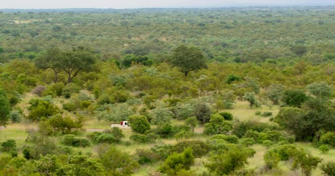 Panoramic tracking drone footage of a safari pickup truck vehicle driving along an asphalt road through the wild savanna bushveld landscape of Kruger National Park located in South Africa