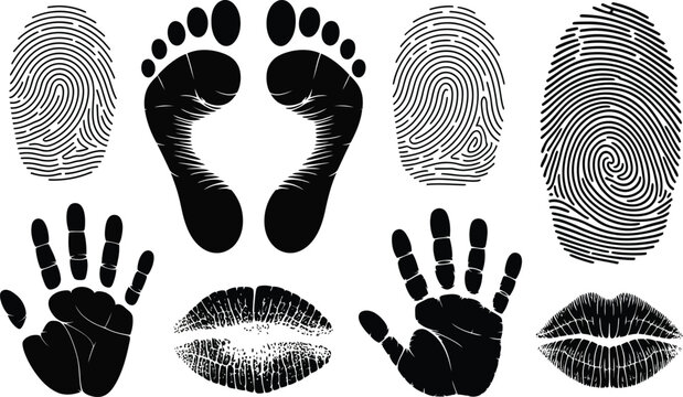 Collection of black fingerprints footprints handprints lips with body part fingerprint footprint handprint illustration
