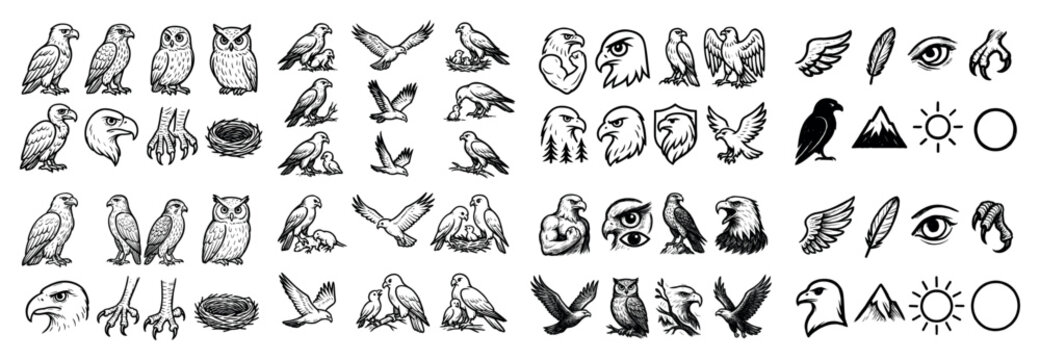 Nature icons with eagle owl wing sketch