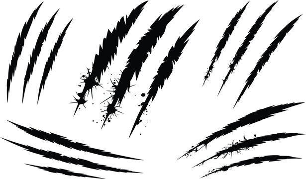 Variety of sharp claw scratch marks for graphic design with predator silhouette aggressive frightening violence creature