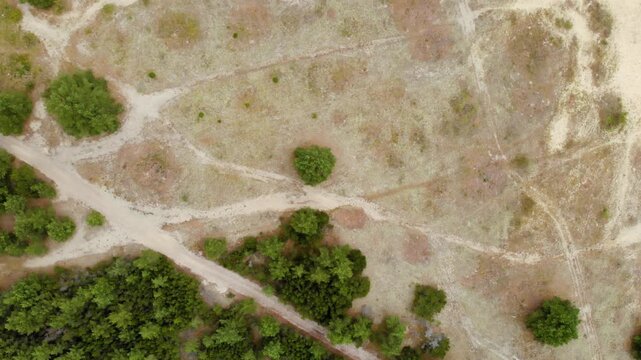 High angle, drone shot capturing an arid environment with patches of green trees and bushes, intersected by winding dirt paths.