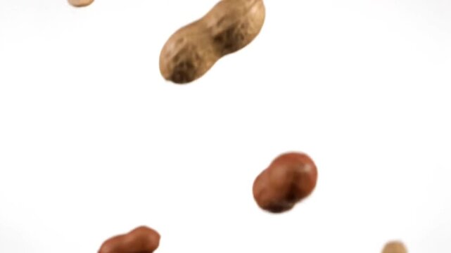 Multiple brown peanuts falling down in slow motion against a clean white background capturing the dynamic movement of organic snacks in a crisp cinematic video clip
