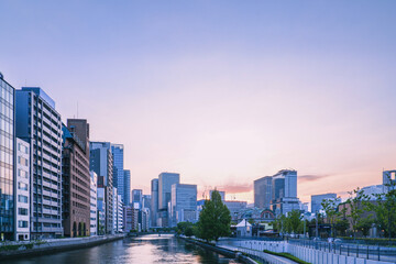 Obraz premium 夕日を浴びてそびえ立つ高層ビル群と中之島公園の夕景
