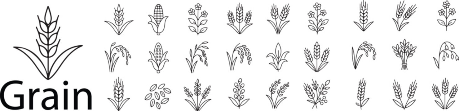 Grain and Cereal Crops Line Icon Set &ndash; Minimalist Vector Icons for Wheat Ear, Corn Cob, Rice Paddy, Oat Stalk, Barley Harvest, and Agricultural Agriculture Symbols