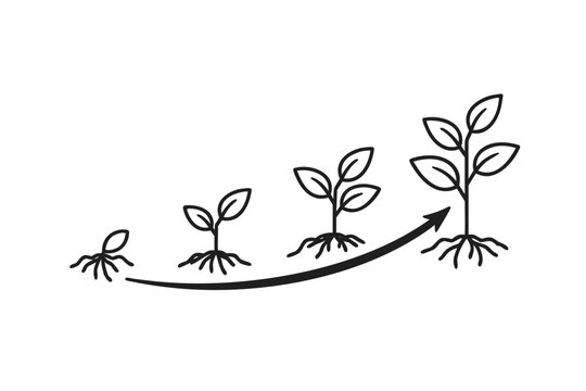 Growing Plant Life Cycle Icon Set, Minimalist Black Line Art Showing Sprout to Mature Stages with Upward Arrow, Concept of Business Growth, Progress, Development, and Success Vector Graphic.