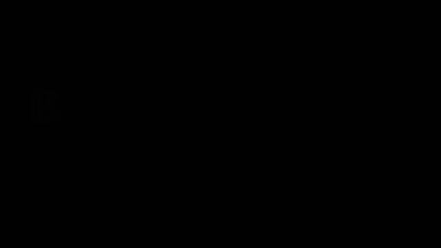 Bright silver text 'bright beginnings' on black background with subtle gradient effect