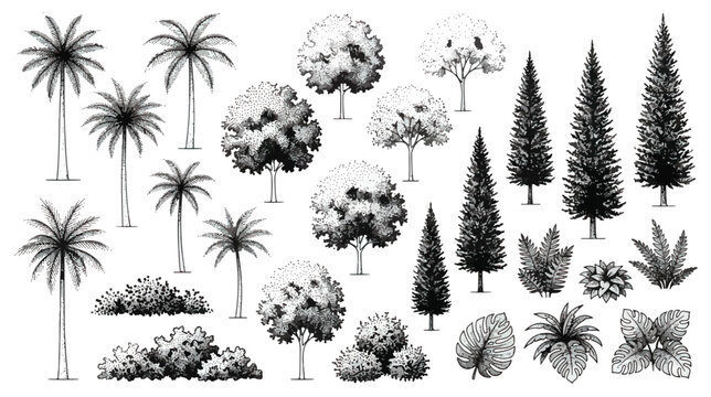 Vintage hand drawn tree collection, 25 black and white botanical sketches, engraved pine and palm tree vector set for landscape design