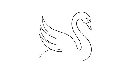 Fototapeta premium Swan Bird Animal Line Art.