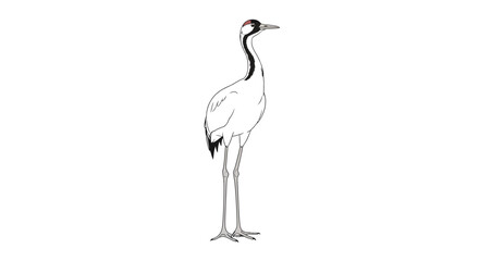 Fototapeta premium White Bird Standing Alone Profile.