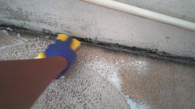 Person scrubbing stained carpet along baseboard with sponge indoors