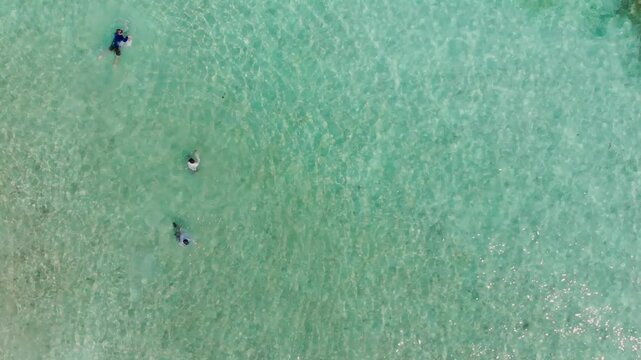 Three men swimming in sea drone rising shot revealing isla mucura beach