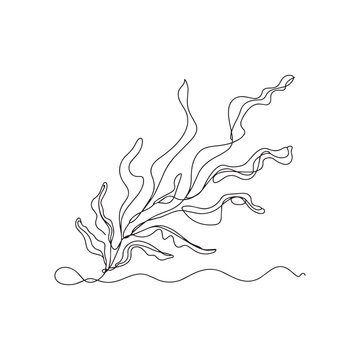 Continuous one line drawing of underwater algae. marine plant life in simple linear style.