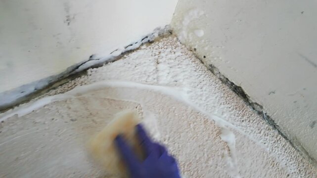 Person scrubbing carpet near wall baseboard with foam cleaner