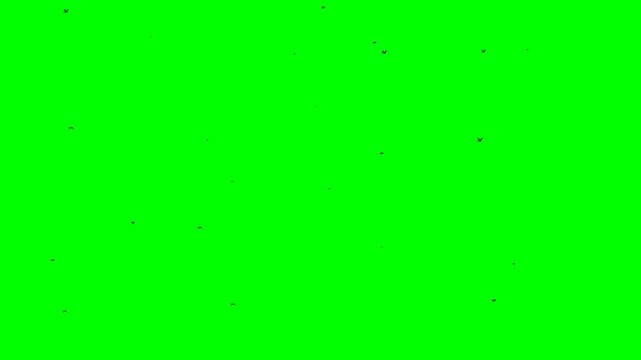 outdoors in a lively scene abstract green background 