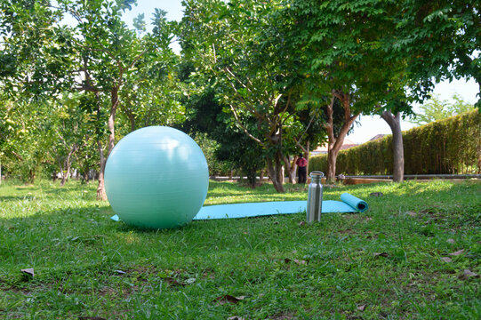 A straight eye-level front shot captures a blue exercise mat laid out on lush park grass, accompanied by a teal fitness stability ball and a steel bottle under bright trees.