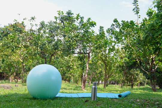 Captured close to the grassy ground from a right angle, this view highlights a blue training mat, a metallic bottle, and a teal exercise ball in a green pamelo orchard.