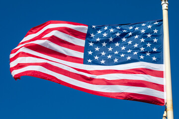 Fototapeta premium United States of America Flag