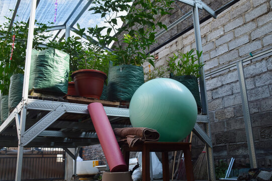 A dramatic low-angle shot from the front-left emphasizes the ground level, showing a teal workout ball, a white towel, and a pink rolled mat beside a shaded home garden bench.