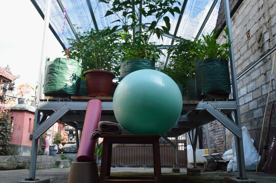 A straightforward front shot taken from ground level highlights a teal fitness ball on a small wooden stand with a pink rolled mat resting against a green plant display structure.
