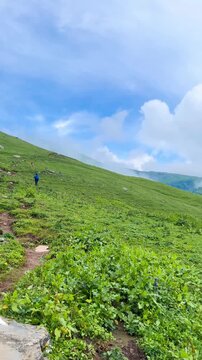 Panning vertical video of hillside with green lawn on Bhrigu Lake Trek, Manali, India. There are many flowers on the ground, and a misty morning in the mountains. Idea for a natural background with co