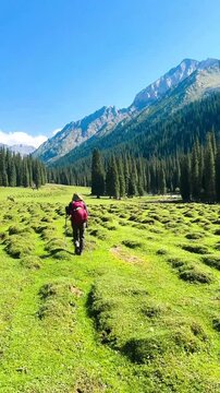 Wide-angle view of green grassy hills on both sides at Tianshan Mountain, Xinjiang, China. A woman walking in the distance on a sunny day. Many mountains are forming beautiful layers.