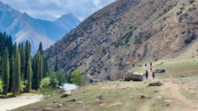 The vertical video shows a stream in a pine forest in Xinjiang, China. A group of hikers can be seen in the distance on a sunny day. Against a backdrop of hills and mountains.