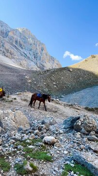 hiking in the mountains